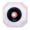 iBells 301 - кнопка вызова персонала (серебро)